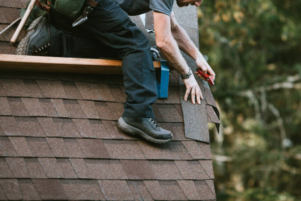 Gutter Installation and Roofing in Robinhood, MS